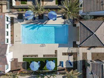 Sparkling swimming pool